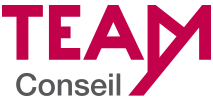 Team Conseil